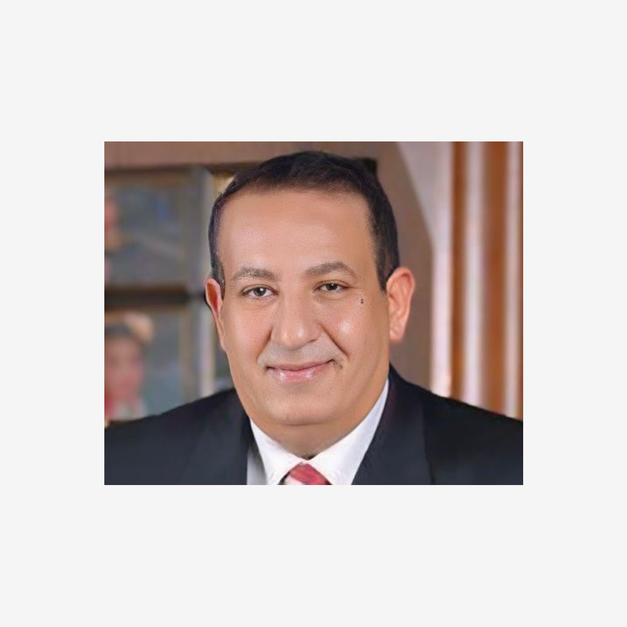 Mr. Kamal Abou Ali